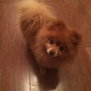 Meet your Posher, Ming